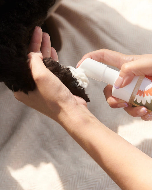 Dandylion | Clean Paws No-Rinse Foaming Cleanser (150ml)