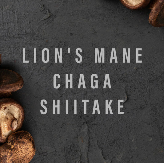 Siip | Vegan Mushroom Broth (24g)