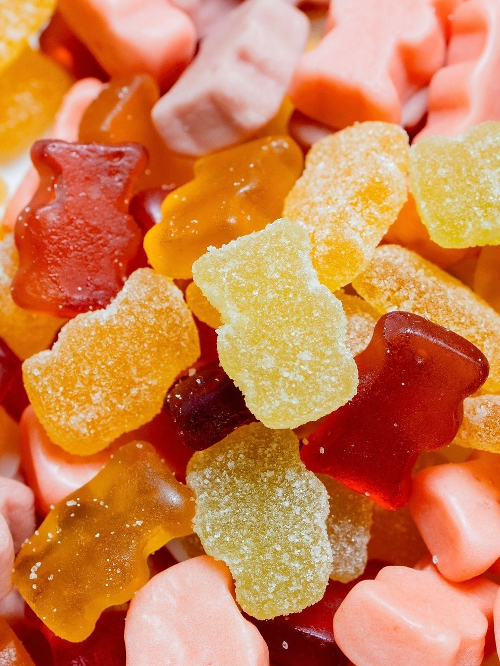 Vegobears | Santa Monica Fruity Gummy Bears (114g)