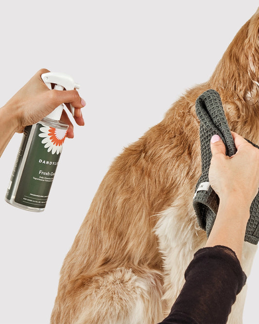 Dandylion | Dog Waterless No-Rinse Shampoo (250ml)