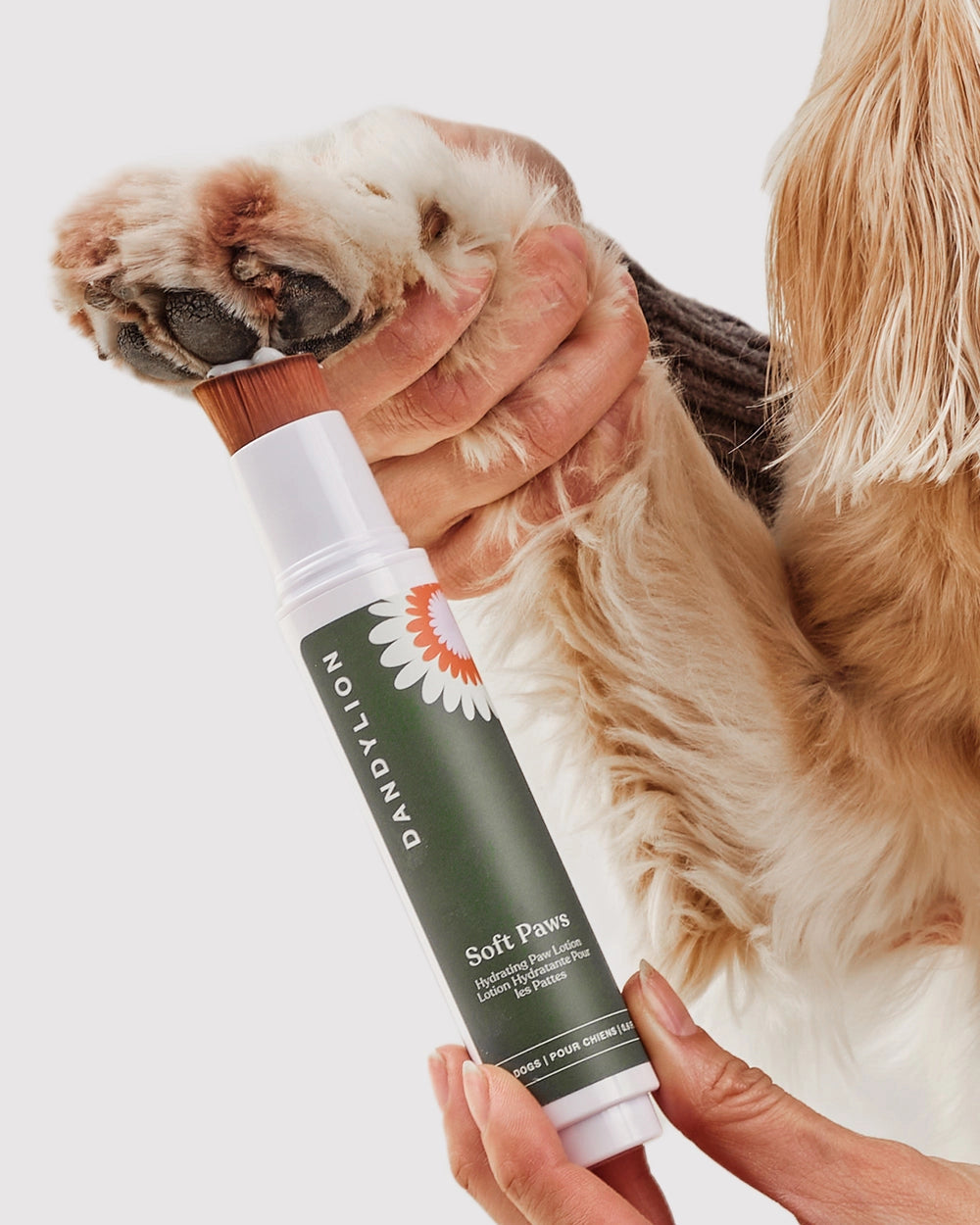 Dandylion | Soft Paws Hydrating Paw Lotion (20ml)