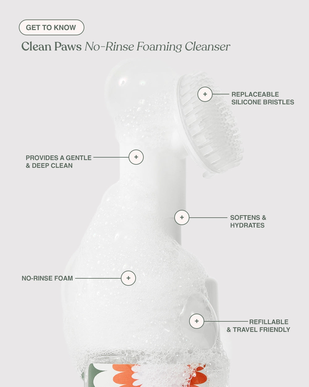 Dandylion | Clean Paws No-Rinse Foaming Cleanser (150ml)