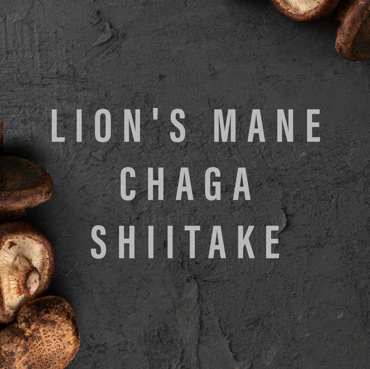 Siip | Vegan Mushroom Broth (24g)